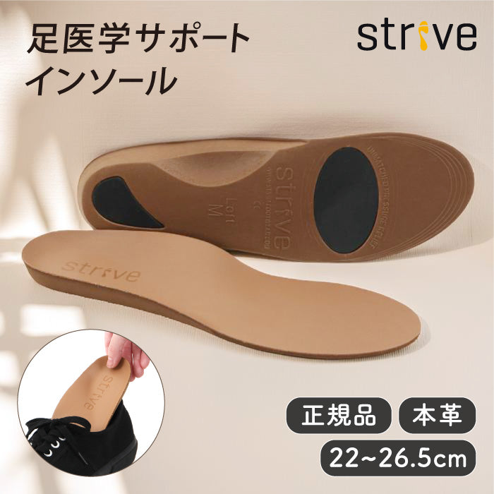 最高級 インソール Lifeotc 26.5〜28.0